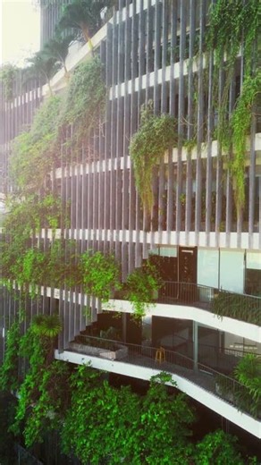 Professional Landscaping for Modern Offices 🌱