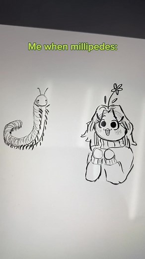 Artistic Drawing of Millipedes and Centipedes