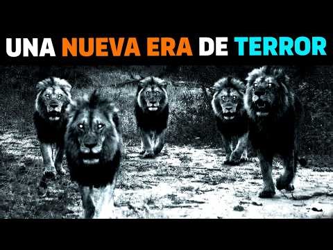 🚨 MÁS PELIGROSOS! Los leones Rongai Rockers EMPEZARON A ACTUAR