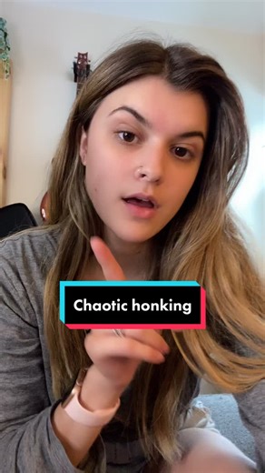 Angry goose noise #bagpipes #honk