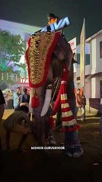 ഇങ്ങനെ പേടിക്കല്ലേടാ… അനന്തപദ്മനാഭൻ