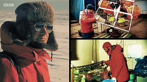 Giants of the Antarctic Deep