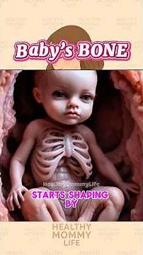 Baby’s Bones Grow Inside the Womb