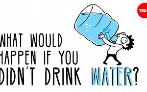 TED动画英文版版人体奥秘-人体医学科普知识