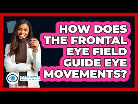 How Does the Frontal Eye Field Guide Eye Movements?