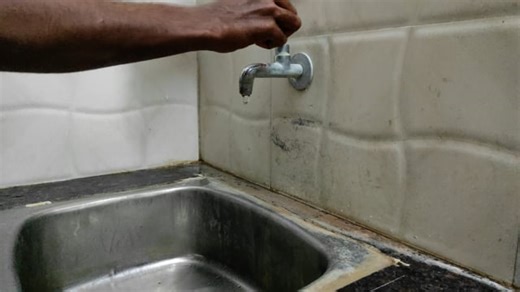 Cooking, Wok, Squid, Kitchen