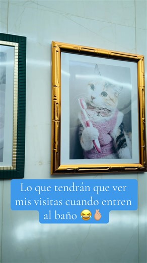 Ideas divertidas para baños pequeños con gatos