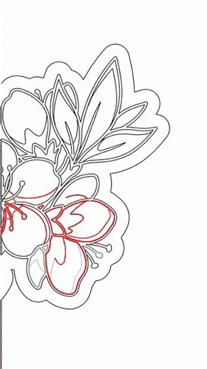 Easy Cherry Blossom Drawing Tutorial for Beginners! with Chillify