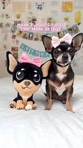 3.7K views · 355 reactions | Literally twins!  Maya plushie has...