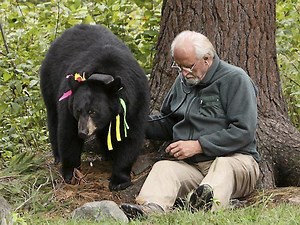 Lynn Rogers - Alchetron, The Free Social Encyclopedia