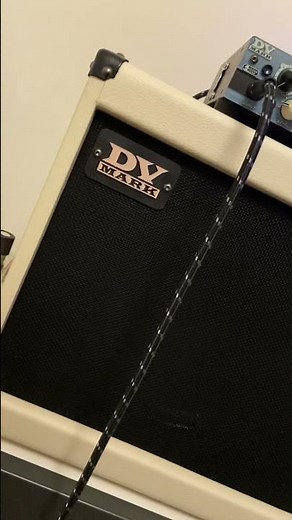 HELP! DV Mark Jazz 12 amp. What could be the problem?🥲🥲