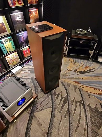 The MoFi room from ‪@AXPONA‬ 2025 including the new SourcePoint V10 floor standing speaker.