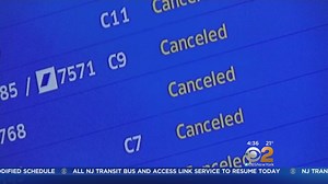 4.6K views · 17 reactions | The storm may be over, but crowds are...