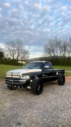 Enhance Your Space with Stunning Rock Lights