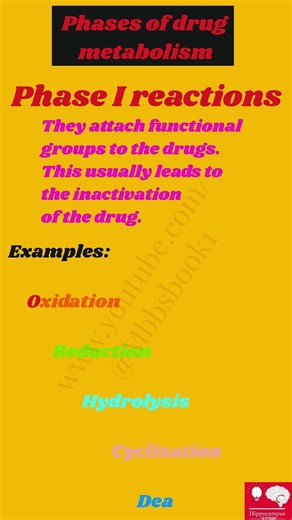 Phase 1 vs Phase 2: Drug Metabolism Explained #biology #shorts