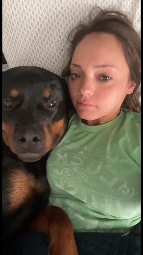 Aggressive Rottweiler Behaviour: From Bitching to Snoring
