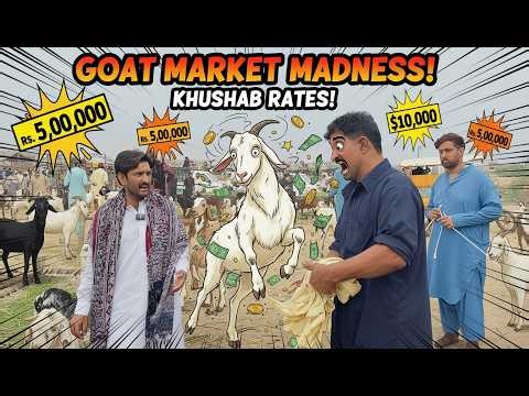 Khushab Goat Mandi 2026 – Unbelievable Rates Revealed! | GOAT MARKET | GOAT RATES | KHUSHAB MANDI