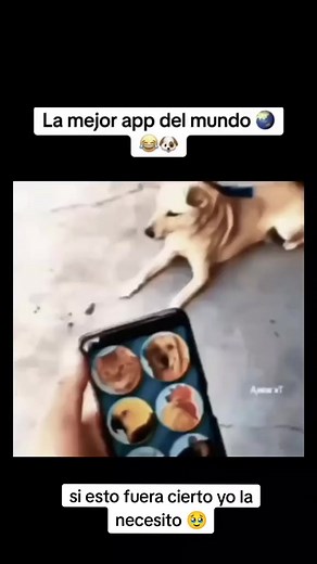 La mejor app | Mundo Animal