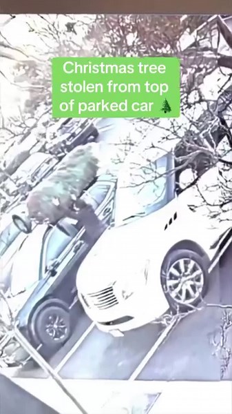 10K views · 146 reactions | CHRISTMAS TREE THIEF: Someone was seen stealing a Christmas tree from the top of a parked car in San Mateo, California before driving away in their own vehicle. Police have yet to find the suspect. | CBS News | Facebook