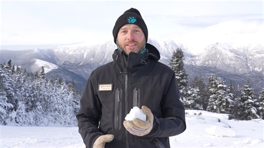 5.3K views · 333 reactions | It’s official! Wildcat will be opening...