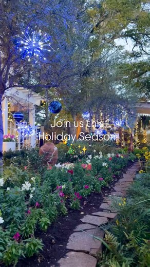 ✨ Celebrate the Holidays at Kipos! ✨ Our garden and dining room have officially transformed into a full-blown holiday wonderland. Think twinkling lights, glowing trees, cozy heaters, and all the festive magic your heart can handle. Whether you’re joining us inside or out, every corner is decorated to the nines and ready for your celebrations. Come sip, savor, and sparkle with us this season! Reserve your holiday table — your happiest nights of the year start at Kipos. 🎄💫 | Kipos Hellenic Cuisi