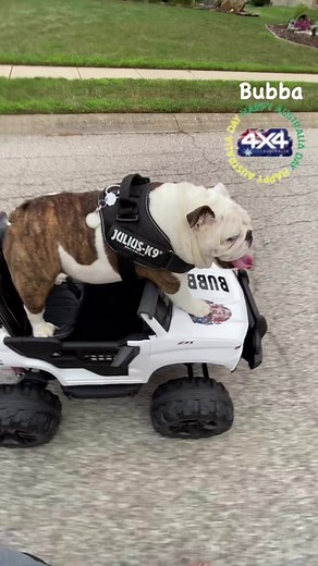 It’s me Bubba ,#trucklife#whendaddyletsmedrive , for our new friends . Bubba’s new 4x4 , this is before it was finished . We hope to have Bubba out driving in just a couple weeks . It’s all ready to go now for him .. enjoy the clip | Bubba's World