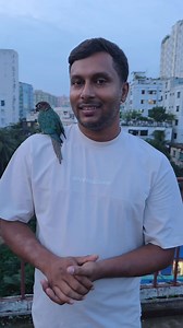 Free_flying blue Conure bird. #reels #parrot #birds #viral | Exotic Pets Aviary