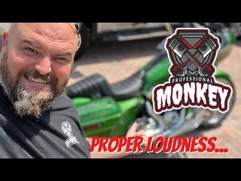 Harley Davidson Headers, are they worth it? Head Pipe, power and sound upgrade!