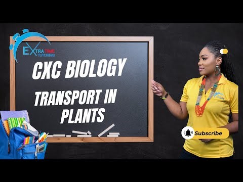 CSEC/CXC Biology Transport in plants