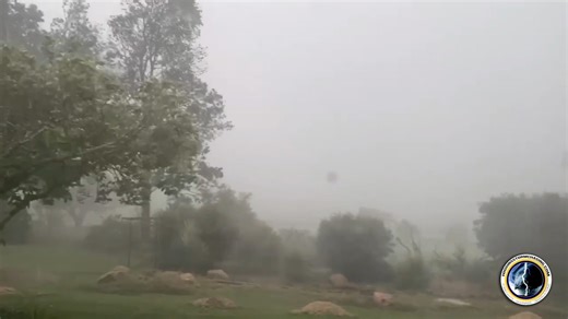 772K views · 6K reactions | A really nasty, destructive microburst, has impacted Rosenthal Heights on the West side of Warwick, and Leslie Dam. This microburst has produced destructive winds which has caused significant damage to areas South West of Warwick. This was the view in Rosenthal Heights. Video by HSC follower Adrian | Higgins Storm Chasing | Facebook