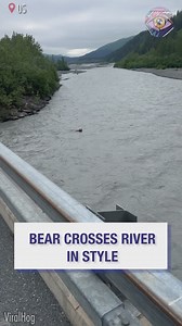 140K views · 410 reactions | I was waiting for the bear to tap their shoulder like "Looking for me?" 藍 | 5-Minute Crafts USA | Facebook