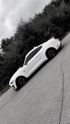 Feel the thrill of the open road — the Ford Mustang delivers iconic power and performance built to move you. Experience it today at Brighton Ford! ️ #1800NEWFORD #BrightonFord #Ford #Brighton #howell #LivingstonCounty #fordmustang | Brighton Ford | Facebook