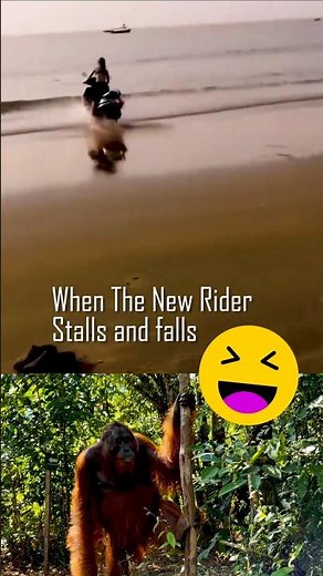 Motorcycle Fails compilation 2 #shorts #motorcycle #comedy