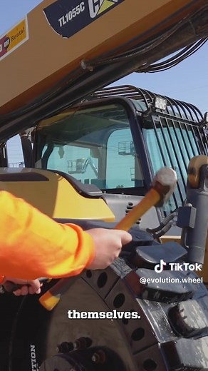 Evolution Wheel on TikTok