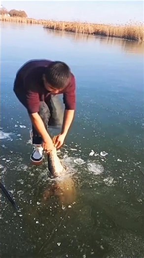 Boy Rescues Huge Fish From Ice! 🐟❄️#viral #shorts #youtubeshorts
