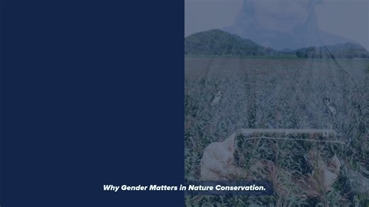 Why Gender Equality Matters for Nature Around the world, women play a vital role in managing natural resources, from forests and fisheries to farms and freshwater systems. Yet too often, they face unequal access to land, finance, training, and decision-making. This isn’t just a social issue — it’s an environmental one. When #women are excluded, opportunities for more effective and sustainable biodiversity management are lost. When they are included, communities are more resilient, ecosystems are