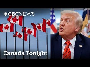 Canadian flag sales surge — even across the border: seller | Canada Tonight