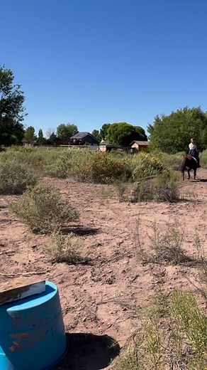 So fun to see Marine riding a Navajo rescue horse in an English saddle, jumping jumps! #navajo #mustang #equestrian #horsejumping | The Farm on Route 66