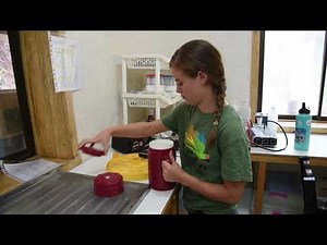 From Egg to Hatching: What comes after incubation?