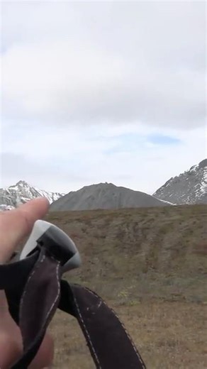 Trust the guide... most of the time! #joke #hunting #alaska #alaskahunting #sheephunting