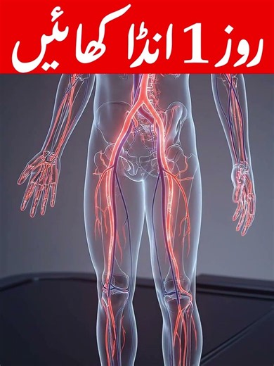 Eat 1 Egg Daily for 14 Days and See What Happens to Your Body: Health Tips
