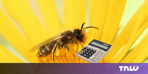 New research shows bees can do math