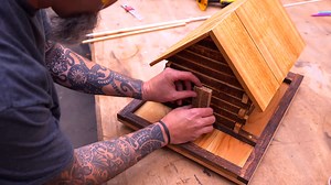 Easy Bird Feeder Build for Beginners