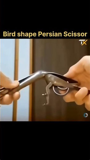 The Most Beautiful (and Hidden) Cutting Tool Ever Designed! 🦅✂️ #shorts #technology