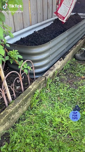 Blueberries can be a frustrating plant to grow, but the key to success is the right soil and growing conditions. They prefer acidic soil, with a pH level between 4.0 to 4.8. Because most garden soil is not naturally this acidic, planting in containers or raised beds enables you to alter the PH level to promote healthy plants and yield. This Scotts Osmocote Rose, Gardenia and Azalea mix from @lovethegarden_au is an acidic blend for the ultimate berry friendly growing mix. I also add some compost 