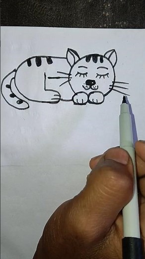 how to draw a cat for beginners how to draw a cat easy for kids how to draw a cat step by step