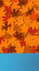 33 reactions | You could save $815* with Allstate when you switch your home and auto insurance | Allstate | Facebook