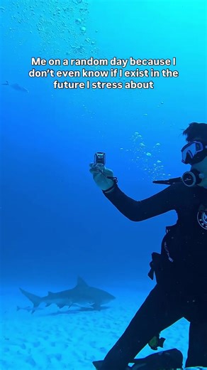 Bull Shark Dive Experience in Playa del Carmen