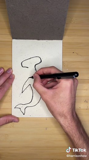 Easy Steps to Draw a HammerHead Shark