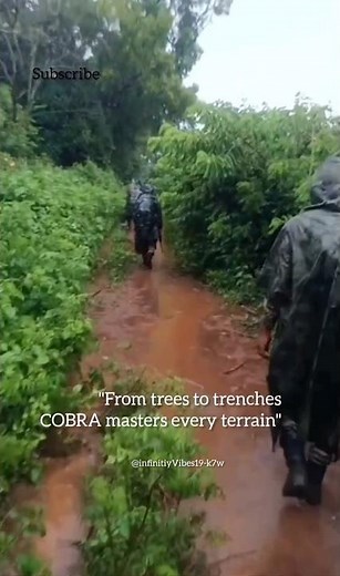 COBRA Commandos Jungle Warfare Training |🐍#COBRACommandos #IndianArmy #JungleWarfare #SpecialForces